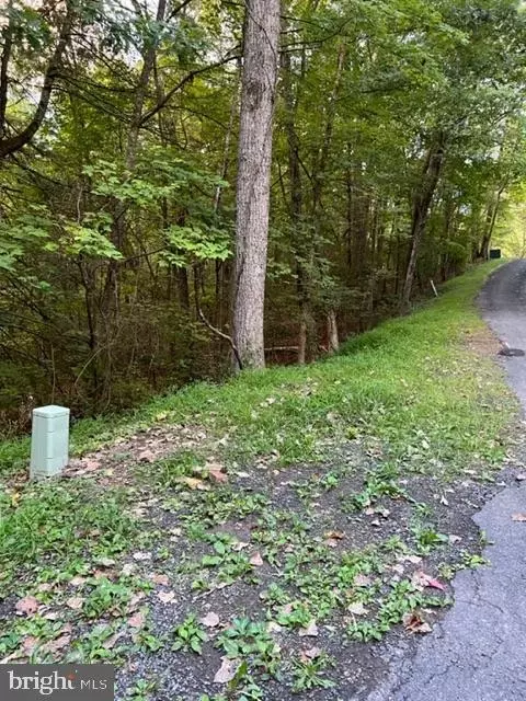 Willow Lot 183, Mount Jackson, VA 22842 photo 2
