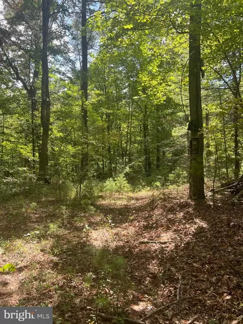 Sarah Lane, Basye, VA 22810
