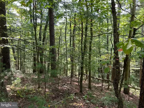 0 Spruce Ln, Mount Jackson, VA 22842