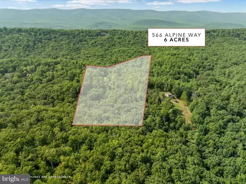 566 Alpine Way, Mount Jackson, VA 22842 photo 32
