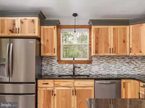 566 Alpine Way, Mount Jackson, VA 22842 photo 9