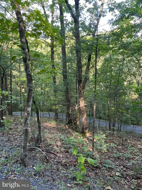 0 Dawn, Basye, VA 22810 photo 2