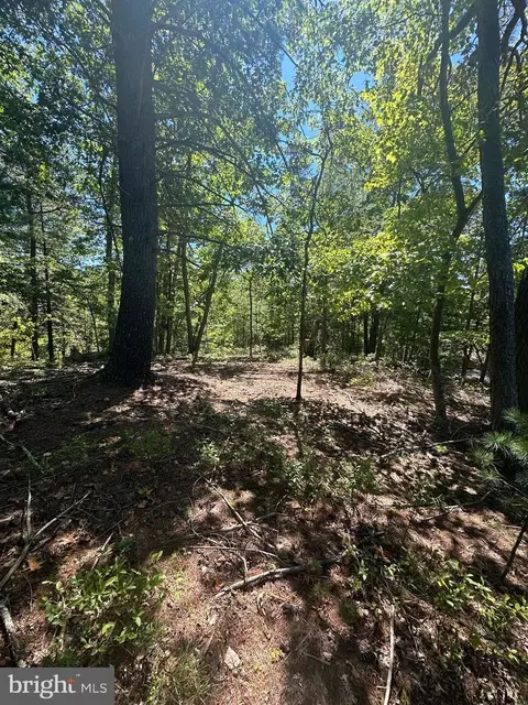 nelson, Basye, VA 22810