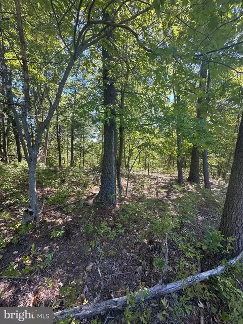 nelson, Basye, VA 22810 photo 3