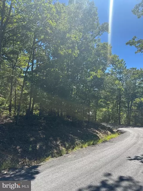 nelson, Basye, VA 22810 photo 4