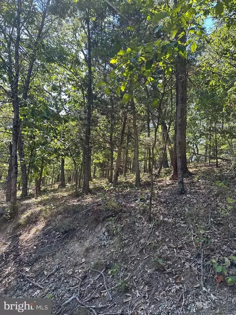 nicklaus, Basye, VA 22810