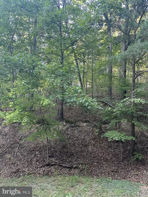 fairway, Basye, VA 22810 photo 3