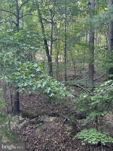 fairway, Basye, VA 22810 photo 5