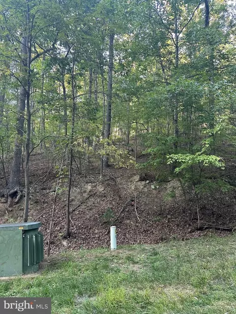 fairway, Basye, VA 22810 photo 4