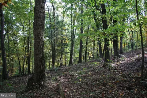 22842 Senedo Road, Mount Jackson, VA 22842