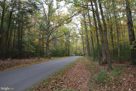 Alum Springs Road, Basye, VA 22810