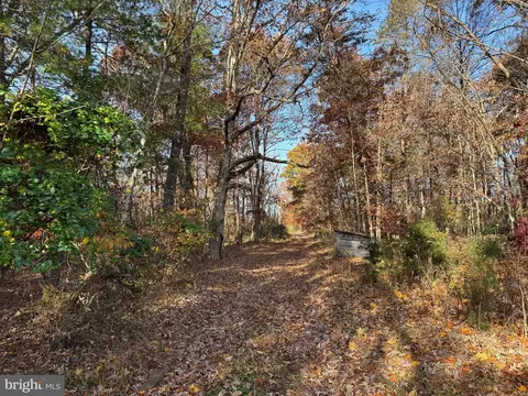 215 Barrick Ln, Mount Jackson, VA 22842 photo 13