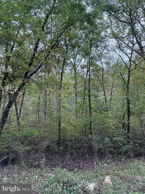 mine mountain ln LOT 16, Fort Valley, VA 22652