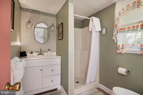 Bath - 355 Orchard Dr, Mount Jackson, VA 22842 photo 6 of 9