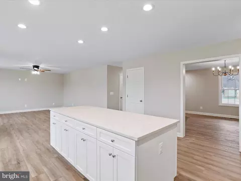 1679 Pleasant View Rd, Mount Jackson, VA 22842 photo 8