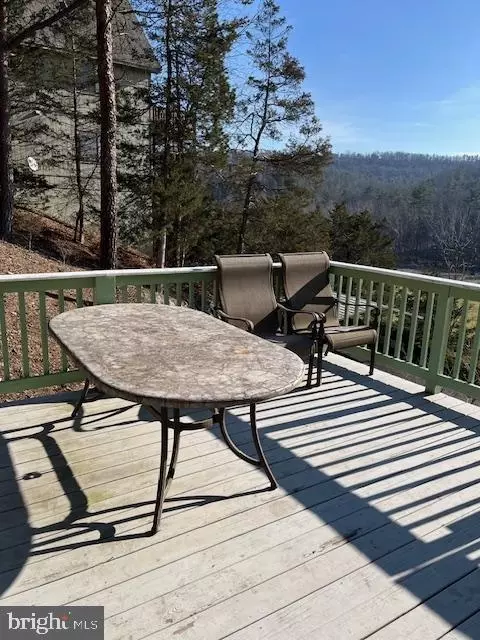 231 Resort Dr, Basye, VA 22810 photo 11