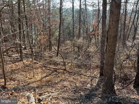 0 Beauregard Rd, Basye, VA 22810 photo 2