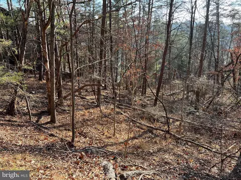 0 Beauregard Rd, Basye, VA 22810