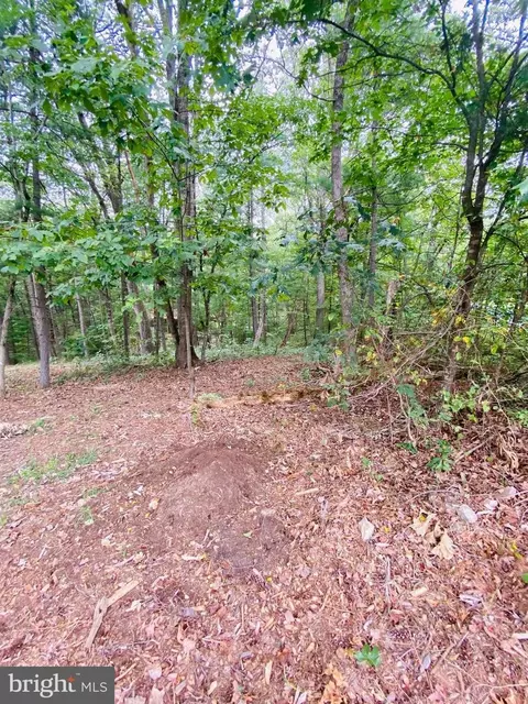 lot294 Cottonwood Dr, Mount Jackson, VA 22842