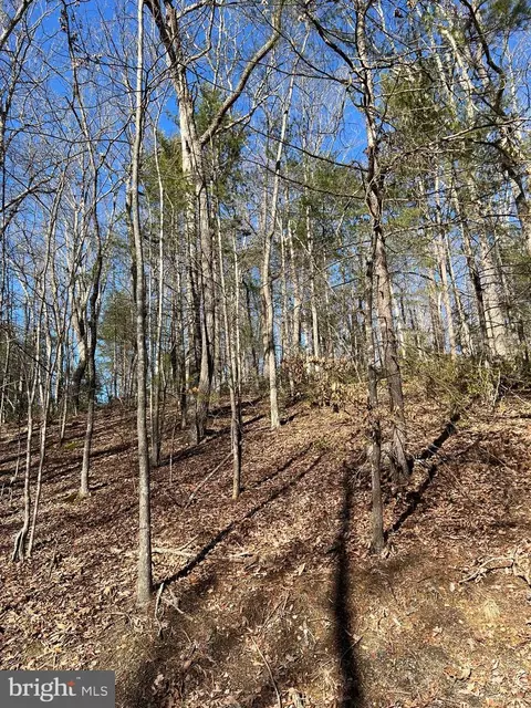 Dooley Drive, Basye, VA 22810