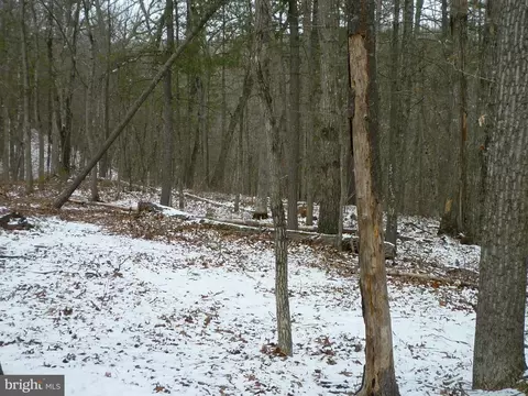 Killmon Road, Basye, VA 22810