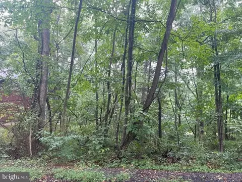 Mulberry Lane, Basye, VA 22810 photo 2