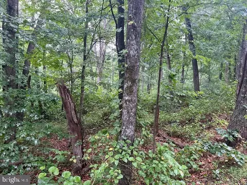 Mulberry Lane, Basye, VA 22810 photo 6