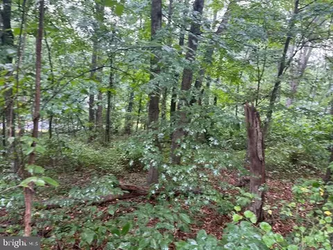 Mulberry Lane, Basye, VA 22810 photo 5