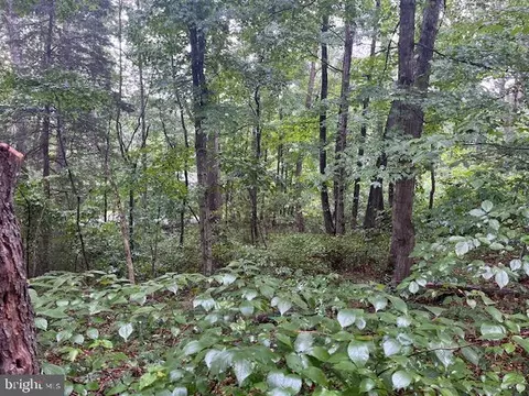 Mulberry Lane, Basye, VA 22810 photo 8