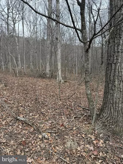 187 Mine Mountain Lane, Fort Valley, VA 22652