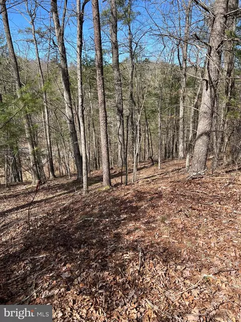 0 Chestnut Ridge Rd #455, Mount Jackson, VA 22842