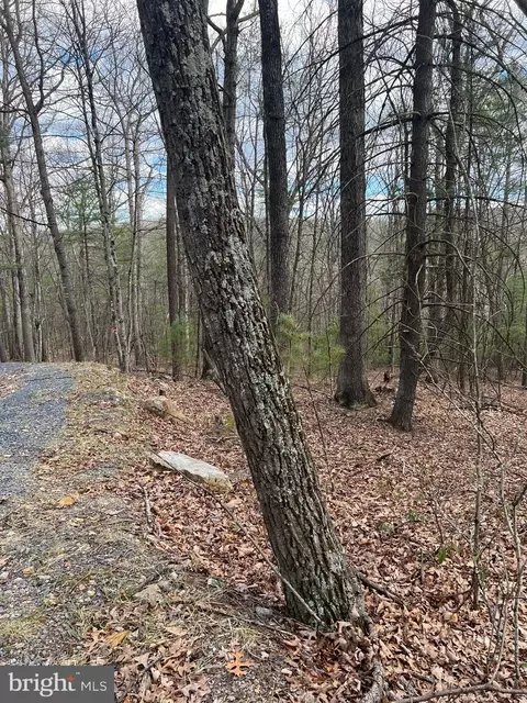 Beech Lot, Mount Jackson, VA 22842 photo 5