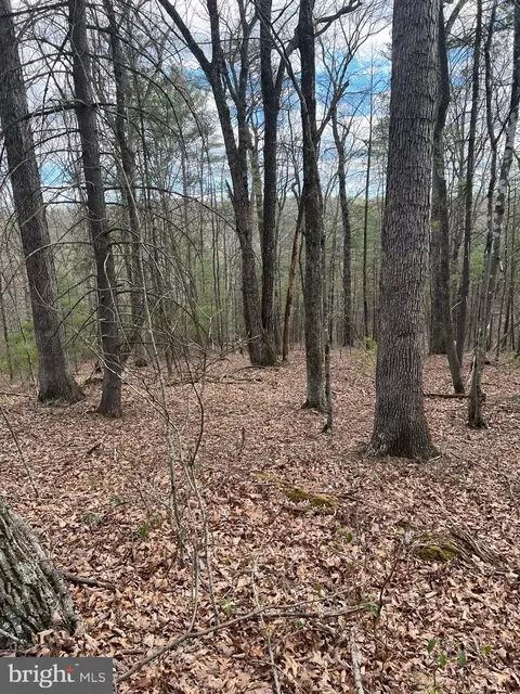 Beech Lot, Mount Jackson, VA 22842