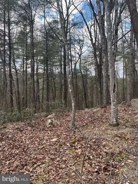 Beech Lot, Mount Jackson, VA 22842 photo 4