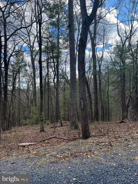 Beech Lot, Mount Jackson, VA 22842 photo 3