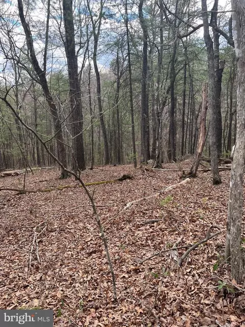 Beech Lot, Mount Jackson, VA 22842 photo 2