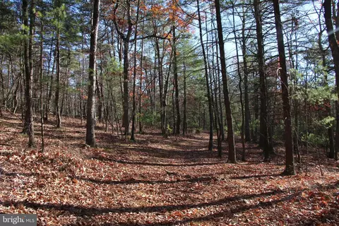 Rolly Road, Mount Jackson, VA 22842 photo 2
