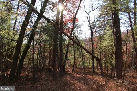 Rolly Road, Mount Jackson, VA 22842 photo 17