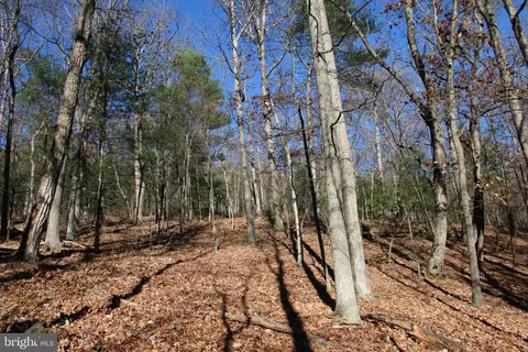 Rolly Road, Mount Jackson, VA 22842 photo 5