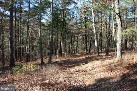 Rolly Road, Mount Jackson, VA 22842 photo 14