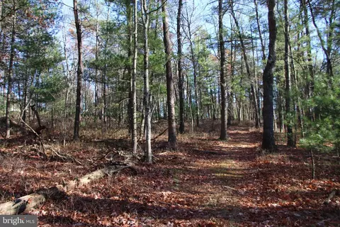 Rolly Road, Mount Jackson, VA 22842 photo 3