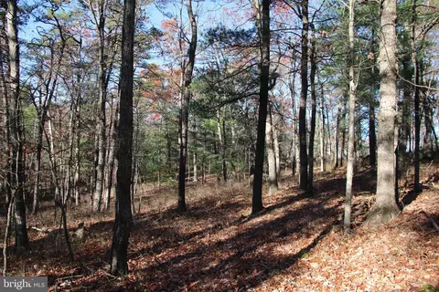 Rolly Road, Mount Jackson, VA 22842 photo 12