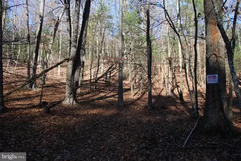 Rolly Road, Mount Jackson, VA 22842 photo 7