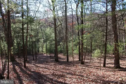 Rolly Road, Mount Jackson, VA 22842 photo 4