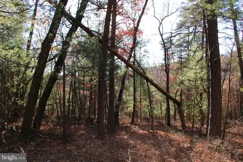 Rolly Road, Mount Jackson, VA 22842 photo 16