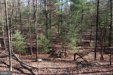 Rolly Road, Mount Jackson, VA 22842
