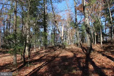 Rolly Road, Mount Jackson, VA 22842 photo 6