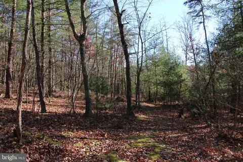 Rolly Road, Mount Jackson, VA 22842 photo 20