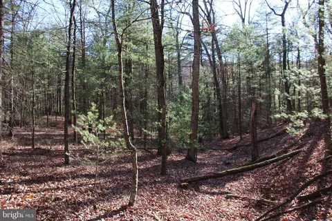 Rolly Road, Mount Jackson, VA 22842 photo 13