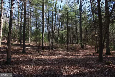 Rolly Road, Mount Jackson, VA 22842 photo 11